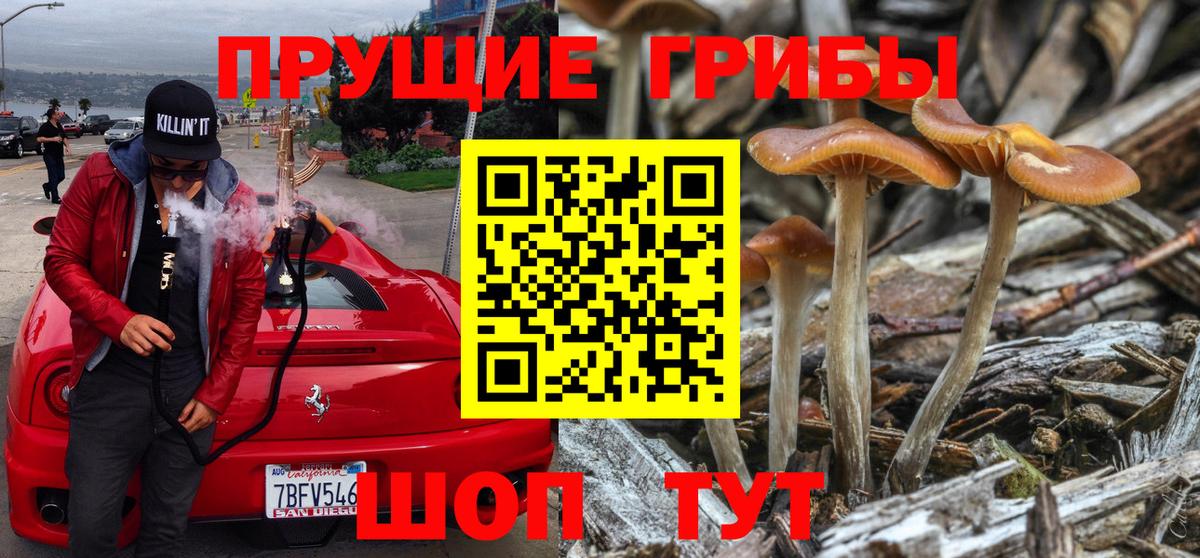 Псилоцибиновые грибы мухоморы  Псилоцибиновые грибы мицелий  Вход с VPN  Кольчугино 