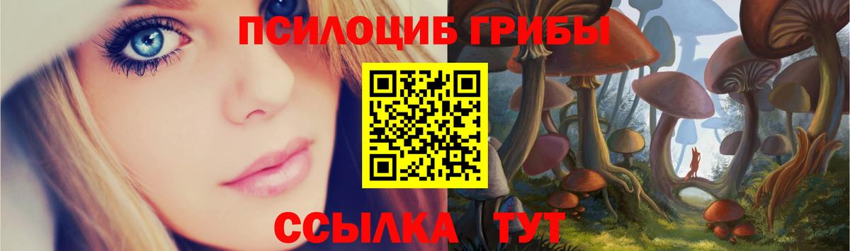 Галлюциногенные грибы ЛСД Кольчугино